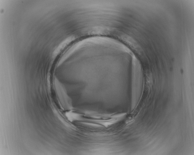 X0000070410678200606302037