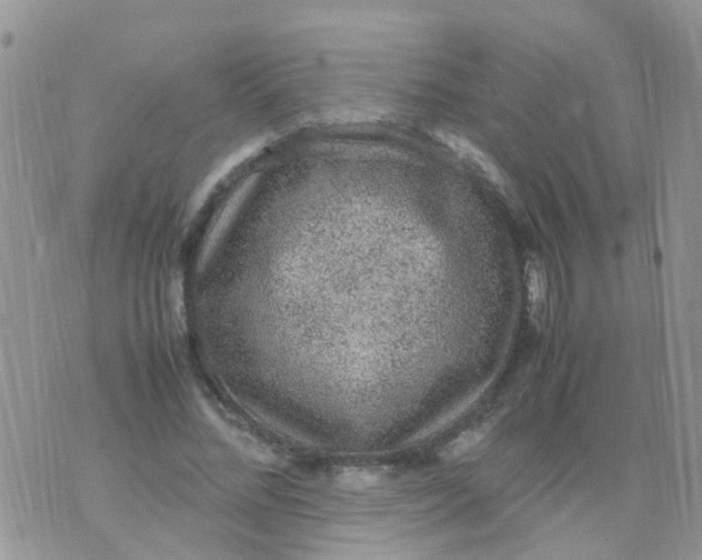 X0000070410684200606302037