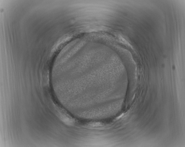 X0000070410685200606302037