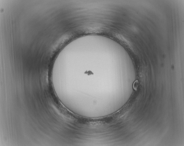 X0000070410686200606302037