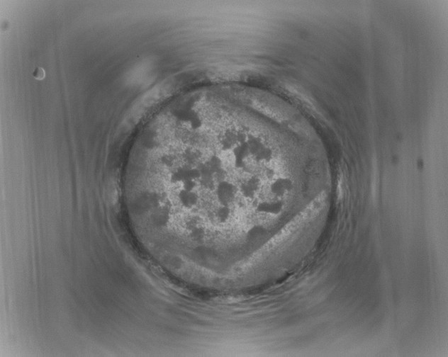 X0000070410687200606302037