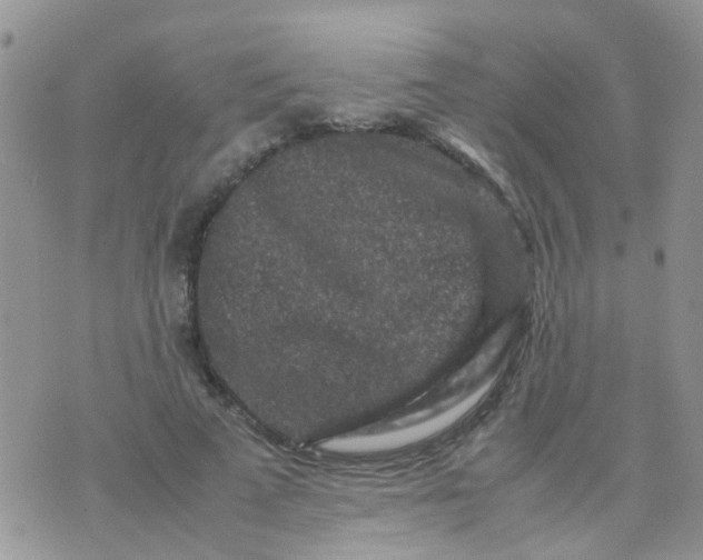 X0000070410689200606302037