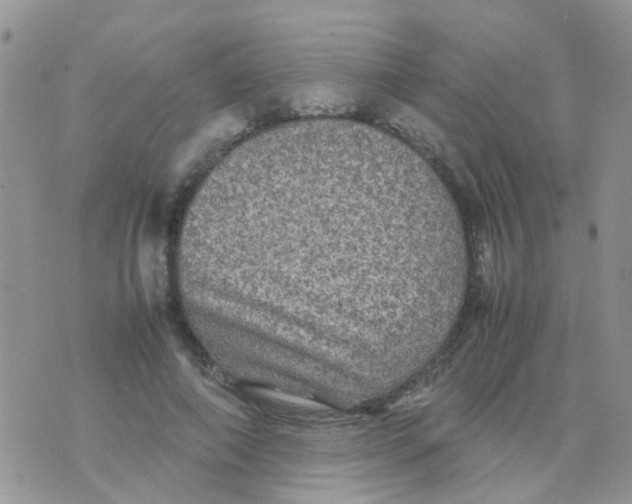 X0000070410690200606302037