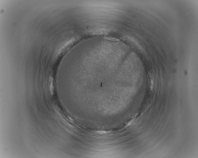 X0000070410692200606302037