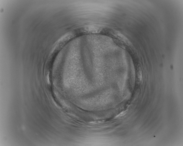 X0000070410693200606302037