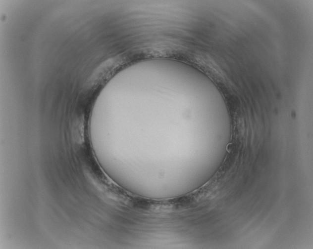 X0000070410694200606302037