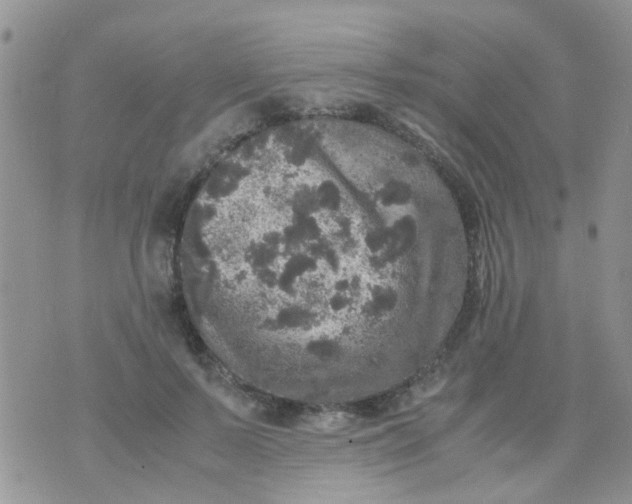 X0000070410695200606302036