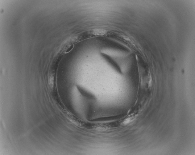 X0000070410697200606302036