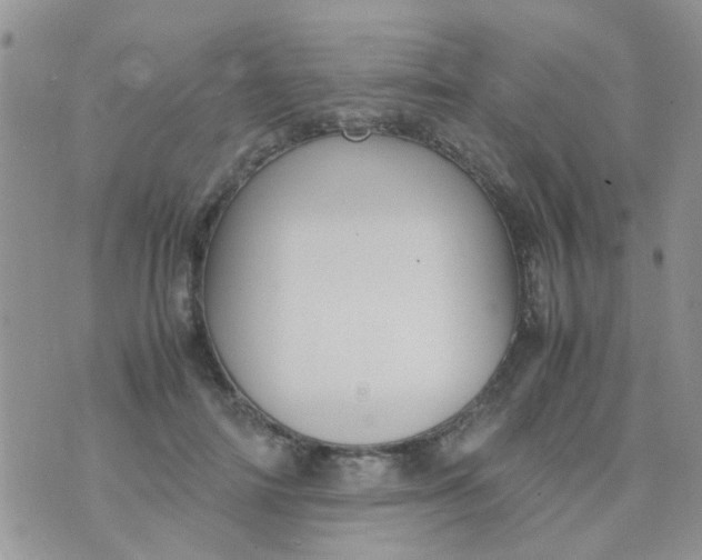 X0000070410698200606302036