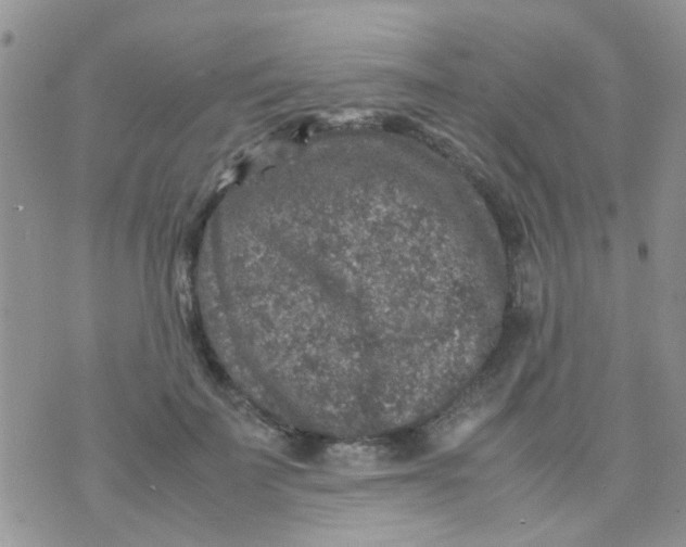 X0000070410699200606302036