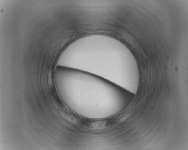 X0000070410700200606302036