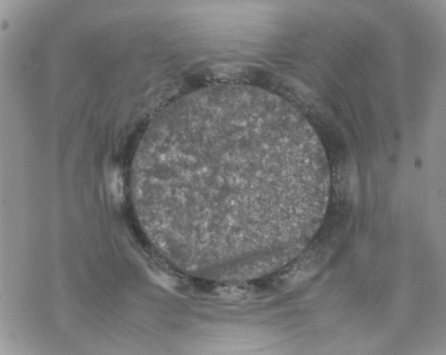 X0000070410703200606302036