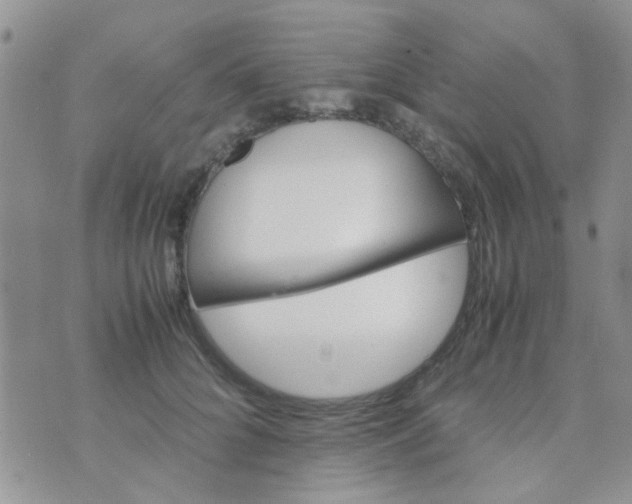 X0000070410704200606302036