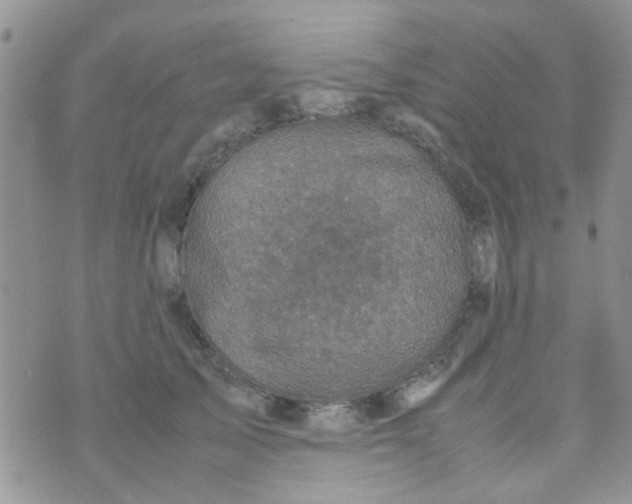 X0000070410705200606302036