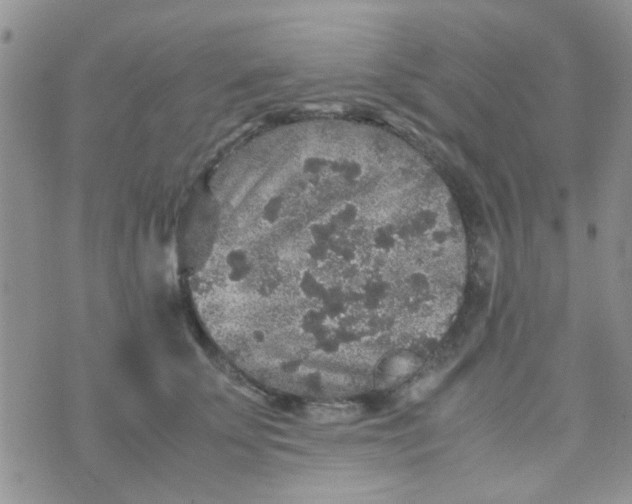 X0000070410707200606302036