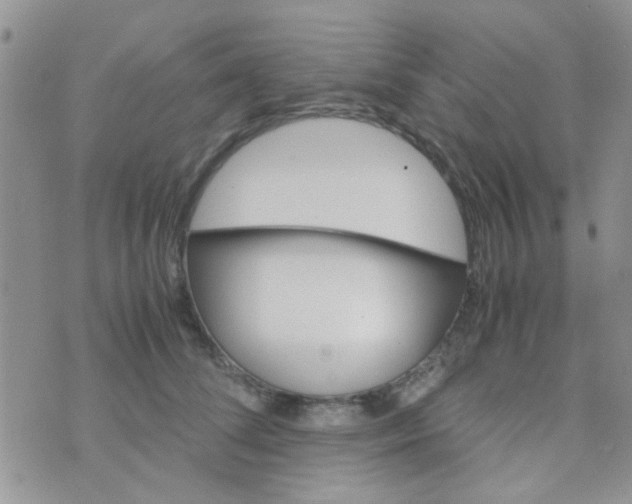 X0000070410708200606302036