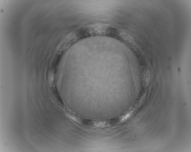 X0000070410709200606302036