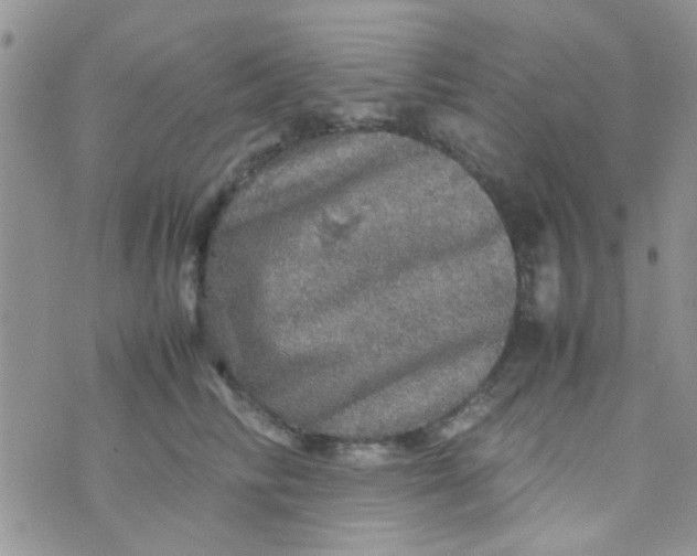 X0000070410710200606302036