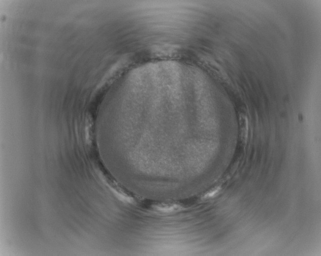 X0000070410712200606302036