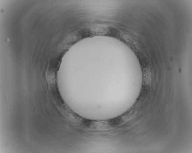 X0000070410713200606302036