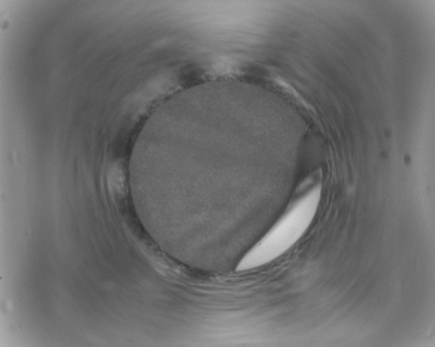 X0000070410715200606302036