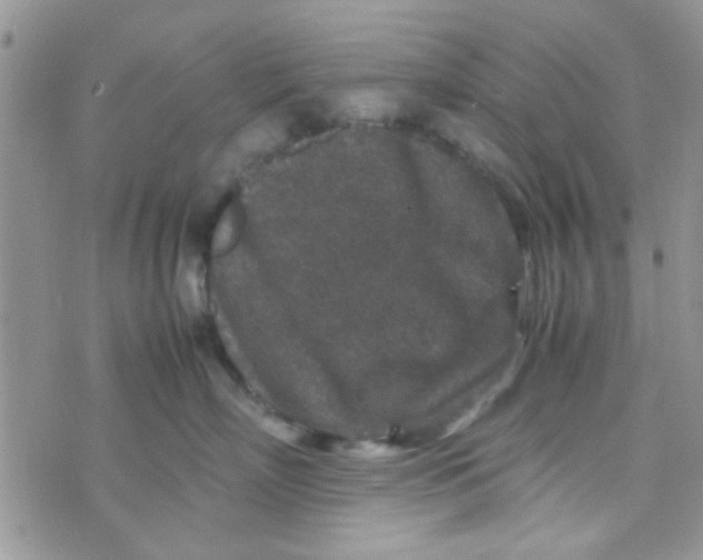 X0000070410718200606302036