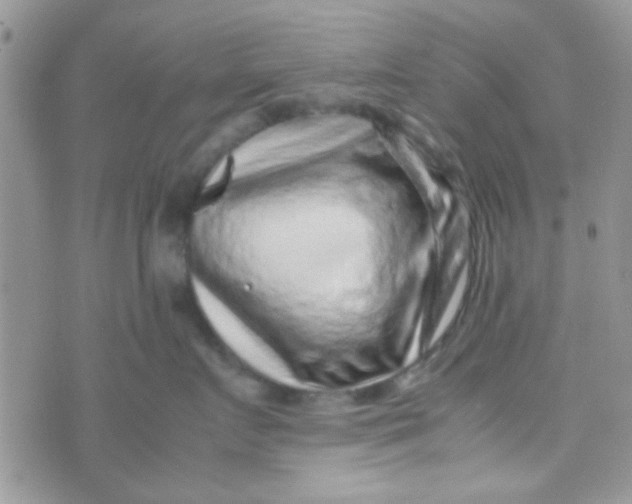 X0000070410719200606302036