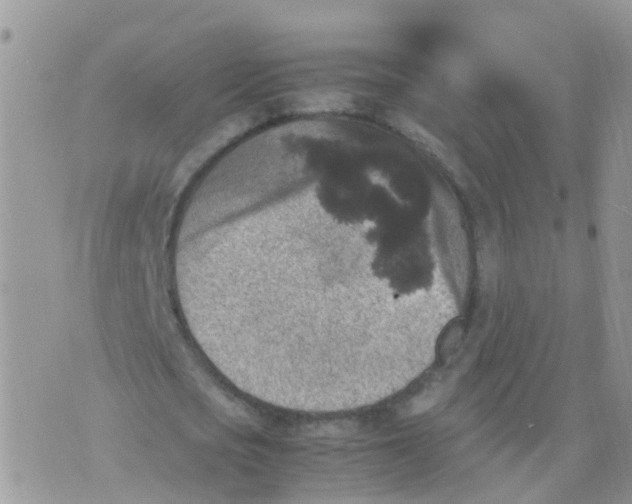 X0000070410721200606302035