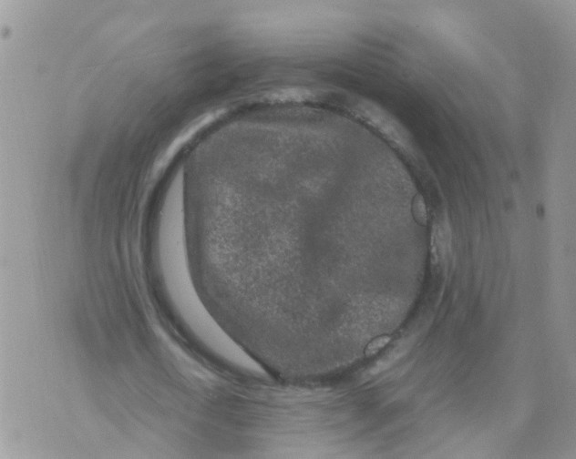 X0000070410722200606302035