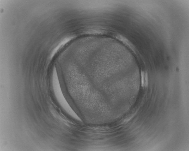 X0000070410723200606302035