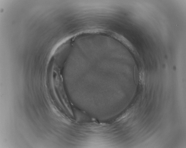 X0000070410724200606302035