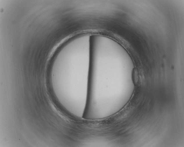 X0000070410728200606302035