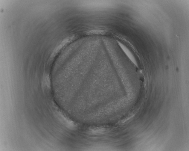 X0000070410729200606302035