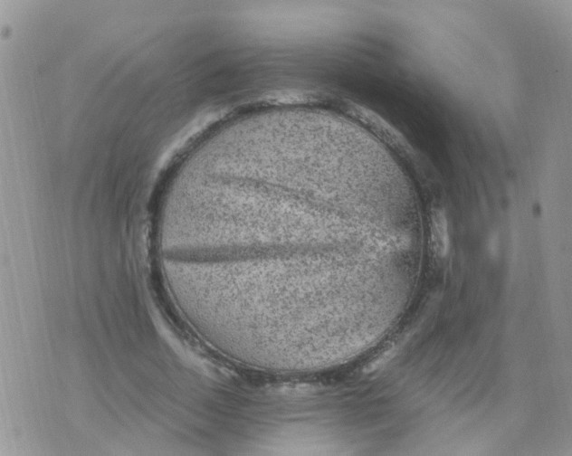 X0000070410730200606302035