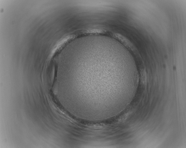 X0000070410731200606302035