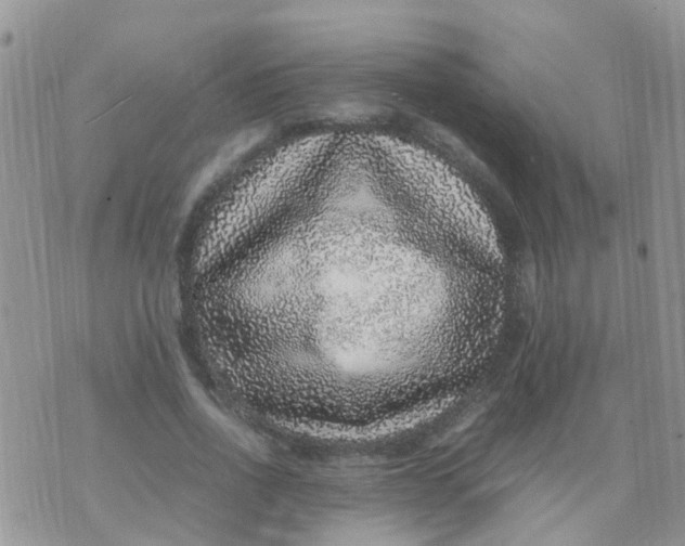 X0000070410734200606302036