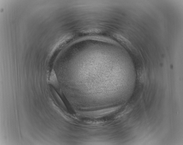 X0000070410735200606302036