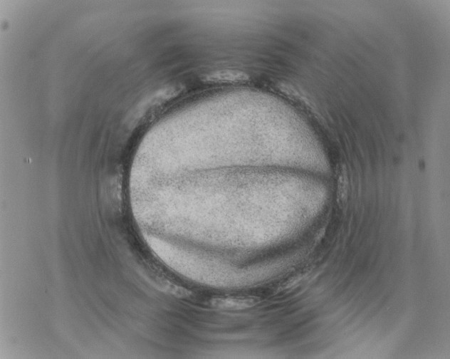 X0000070410739200606302036