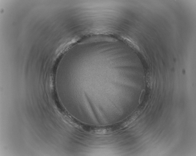 X0000070410740200606302036