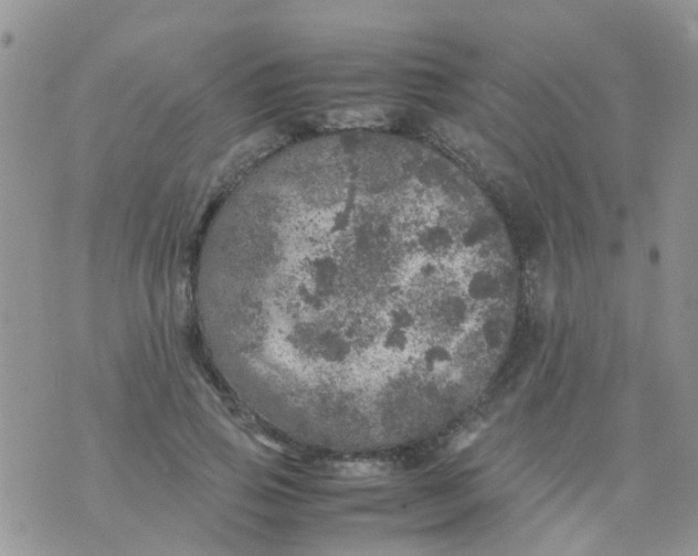 X0000070410741200606302036