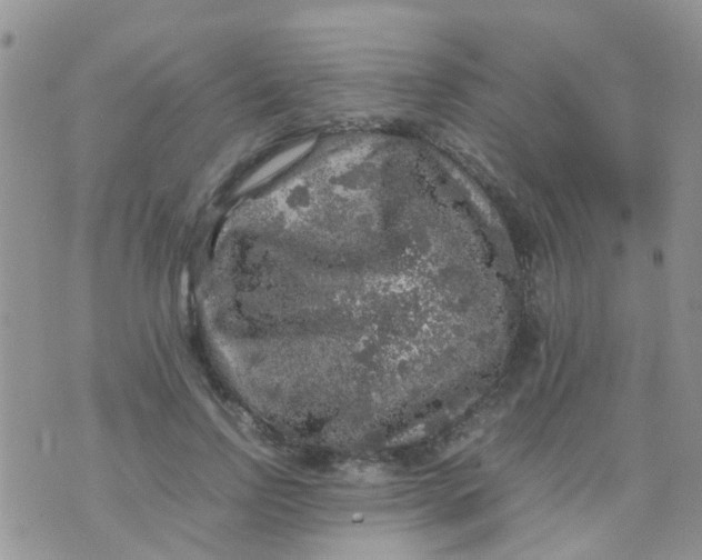 X0000070410742200606302036