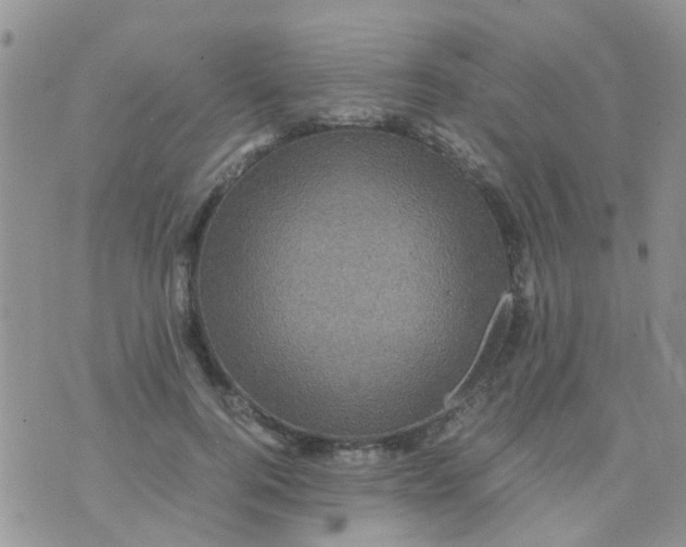 X0000070410744200606302036