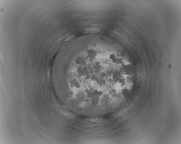 X0000070410745200606302036