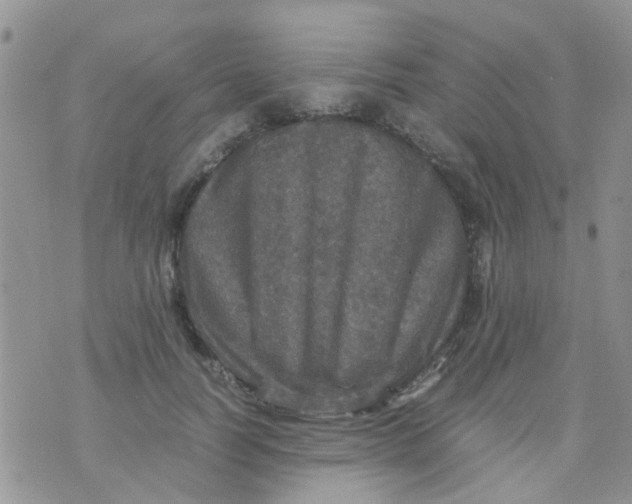 X0000070410746200606302036