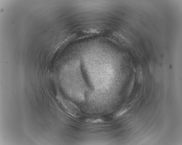 X0000070410747200606302036