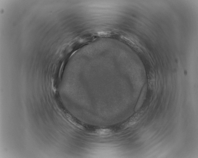 X0000070410748200606302036