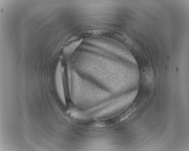 X0000070410750200606302036