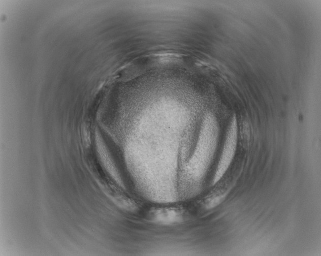 X0000070410751200606302036