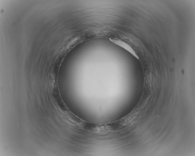 X0000070410752200606302036