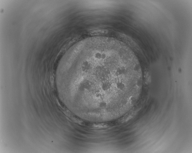 X0000070410753200606302036